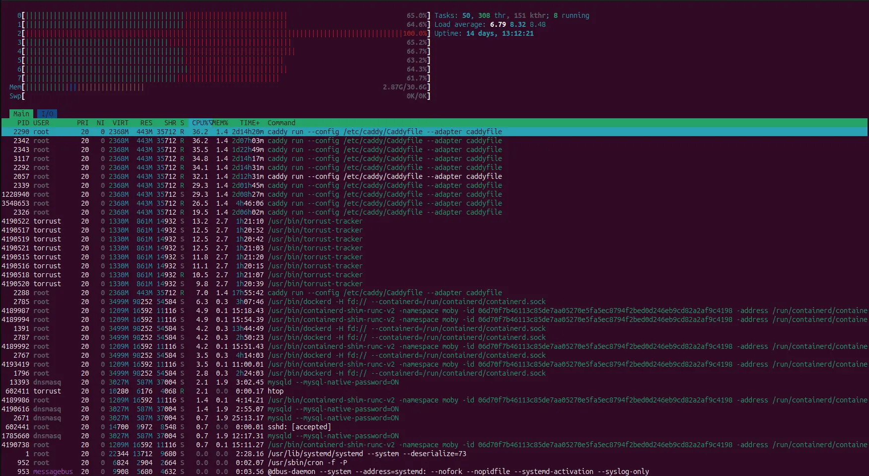 Initial htop snapshot showing CPU2 pinned at 100 percent usage