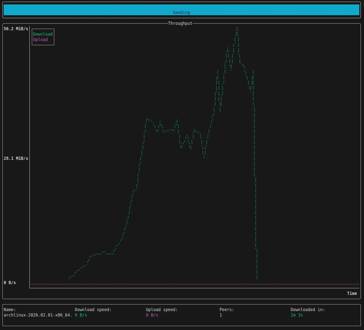 Vortex TUI showing real-time download progress with throughput graphs and peer information